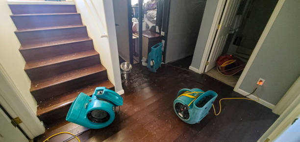 Water damage restoration insurance claims in AK