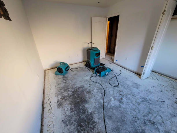Best Fire Damage Restoration  in Nome, AK