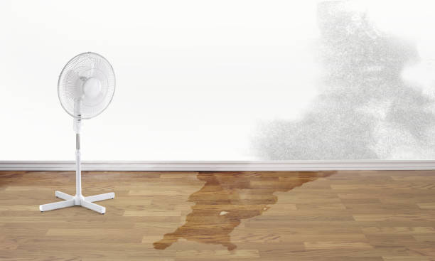 Best Emergency water damage restoration  in Nome, AK
