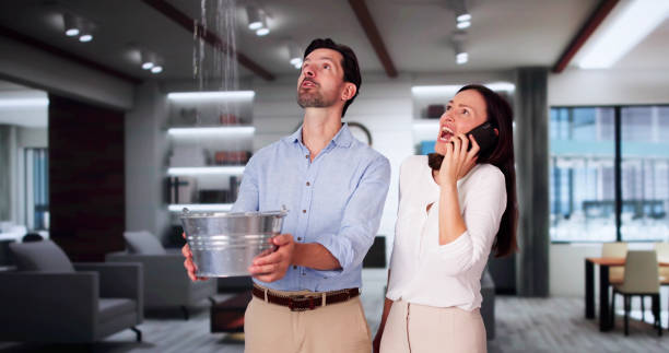 Best Basement water damage restoration  in Nome, AK